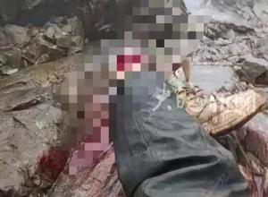 四川九峰山有“驴友”坠崖当地回应：转运中抢救无效死亡“九峰山不是景区，是个野山未开发”