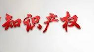 合肥市被确定为国家知识产权纠纷快速处理试点地区
