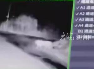 村民监控拍到东北虎入村，黑龙江东宁最新回应：东北虎已进入林区，未造成牲畜死伤