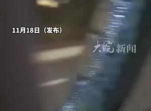 网友坐车时被吓结巴 一条巨蟒车窗上爬行