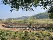 宜秀區羅嶺鎮小龍山社區：扎實開展溝渠整治行動，助力鄉村振興