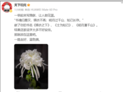 網絡小說作家藍色獅被曝去世！譚松韻發文