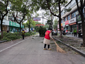 西市街道：黨建引領護家園 為民剪枝解煩憂