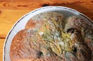 它毒過砒霜，100℃高溫殺不死！最愛“藏”在這些食物中