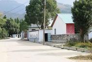 宜秀區大龍山鎮總鋪社區：以黨建引領擦亮鄉村振興底色