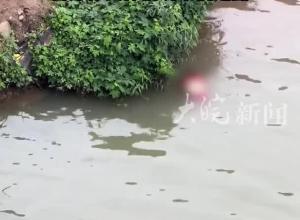 四川巴中一大桥下现浮尸 目击者：是一名穿红衣服的女性 警方称具体情况不便透露