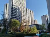蚌埠再添一處口袋公園