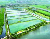 蚌埠固鎮：創新“污水處理廠+濕地”模式，打造生態安全緩沖區