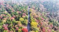 全椒县神山国家森林公园段美景如画