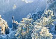 叶荣荣：决绝的雪