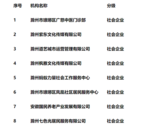 滁州市琅琊区社会企业认定专家评审会(第一批)成功举办