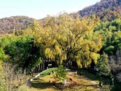 巢湖市東庵森林公園：親近大自然 能學又能玩