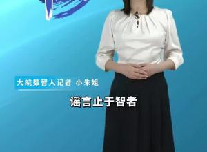 大皖一周辟谣 | 2024年第四十二期