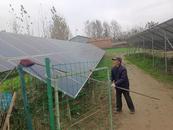 蕭縣新莊鎮李集村：光伏電站管護  助力鄉村振興的綠色引擎 