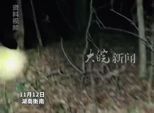 男子疑被当成猎物遭枪击身亡  知情人：开枪者于事发次日自杀身亡 镇长：已对遭枪击死者家属安抚和帮扶
