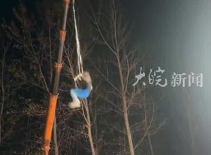 河南商丘一杂技演员表演时绳子断裂坠落，其妻子去年表演时坠落离世
