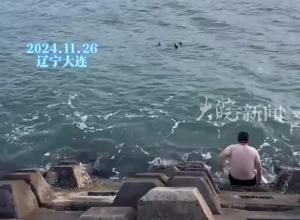 一女子落水漂浮海面 路过“小胖”迅速脱衣
跳入冰冷海水救人 “一心救人 跳入海水没觉得冷”