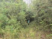 宜秀區羅嶺鎮姥山社區：生態護林員森林防火宣傳筑起防火屏障