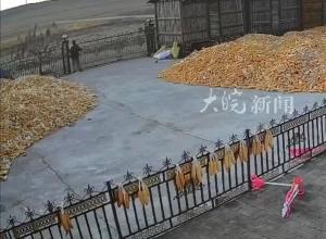 黑龙江一老虎进村咬伤村民 警方：伤者已送医当地警方：正在进行抓捕