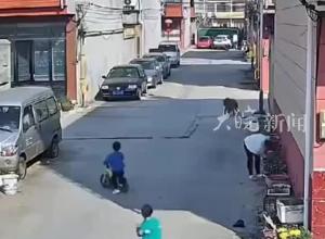 野猪突然出现在居民区 踏板车小孩神躲避 “女子让邻居孩子快跑 自己却被撞到”