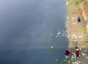 湖北天门一河流水体发黑 水面漂浮死鱼，镇政府：回收死鱼进行无公害处理，环保部门：生活污水管道破损导致 