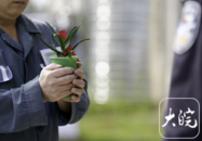 阜陽監獄60余名服刑人員領取栽培