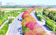 六安迎賓道色斑斕