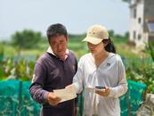 宜秀區白澤湖鄉芭茅村：織密“紅網格”，賦能“微治理”