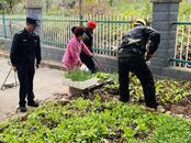安慶經開區龍潭社區：整治“飛線充電”“毀綠種菜” 消除安全隱患還綠于民