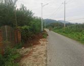 宜秀區楊橋鎮余墩村：嚴把“一事一議”驗收關 修建群眾滿意路