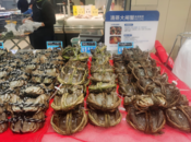 價美蟹肥！巢湖螃蟹市場迎來最佳賞味期