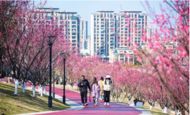 擺脫“房地產依賴”怎么把城市建好？安徽“副中心”正在探路