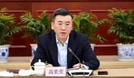 陷害紀檢監察干部、虛構任職履歷 廳官高奕奕被“雙開”