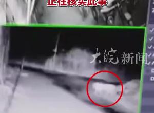 监控拍到疑似有东北虎入村 黑龙江东宁市一地回应：正在核实此事