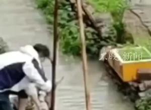 两个小孩玩耍时不慎落水 路过男子用一臂之力挽救两个家庭 家长：当时懵了 要找他当面感谢