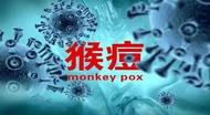 195名男性+8名女性！法國今年以來共報告203例猴痘病例