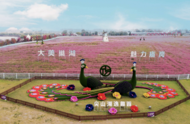 巢湖市廟崗鎮：“粉黛花海”邂逅秋日浪漫
