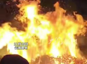 游客夜爬大牯牛山纵火烧山？官方通报：已成立联合调查组
