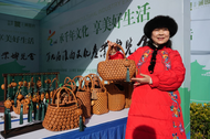 第九屆淮南文博會盛大開展