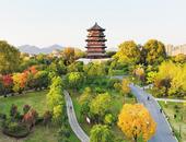 高申杰：公园飞歌