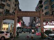 張佳：巷陌煙火間
