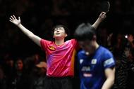  4比0橫掃張本智和！王楚欽奪冠 