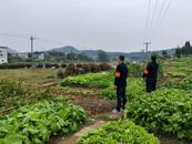 宜秀區五橫鄉曰公社區：織密森林防火“安全網” 筑牢秸稈禁燒“防火墻”