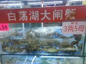 池州螃蟹價格有所降，醫生提醒吃時要注意方式方法