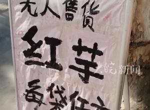 无人售卖 扫码提货，蚌埠一爱心摊点帮农户代售红薯