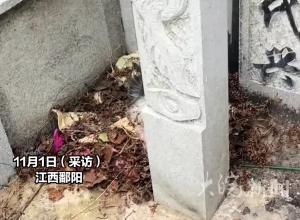 主人去世后狗狗守墓两年不愿离开，好心人收养治疗半年带去看望前主人，救助人：感觉它在哭 特别感动