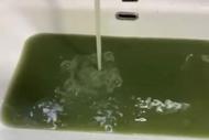 水龍頭流出綠水！武漢一物業回應已采樣送檢 街道辦已介入處理