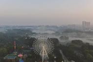 朱道平：父亲入我梦