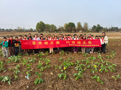 享豐收之美，行勞動之樂——蚌埠市湯和路學校開展勞動教育實踐活動
