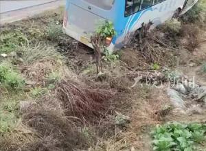 湖南芷江一客车与面包车发生交通事故，回应：受伤者已送医 